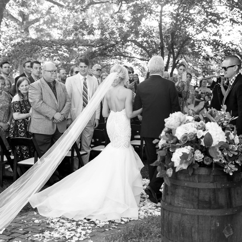 Hayley Paige Cathedral Length Veil